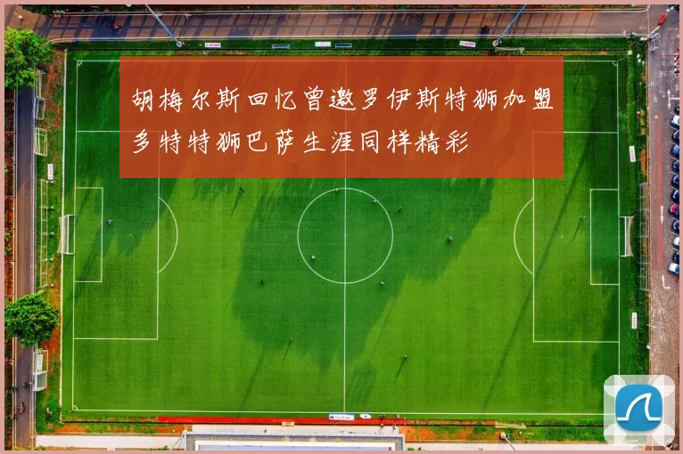 胡梅尔斯回忆曾邀罗伊斯特狮加盟多特特狮巴萨生涯同样精彩